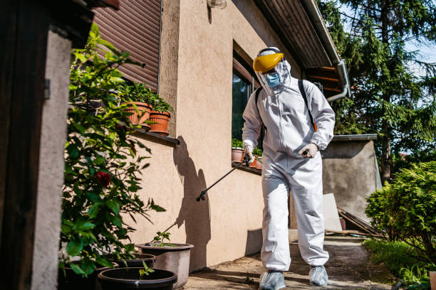 Best Mosquito Control Services  in Orangeville, UT